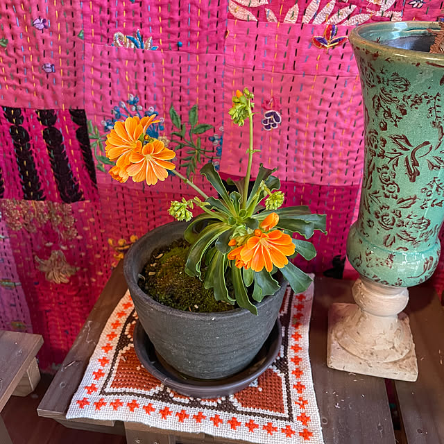 shin0719さんの実例写真