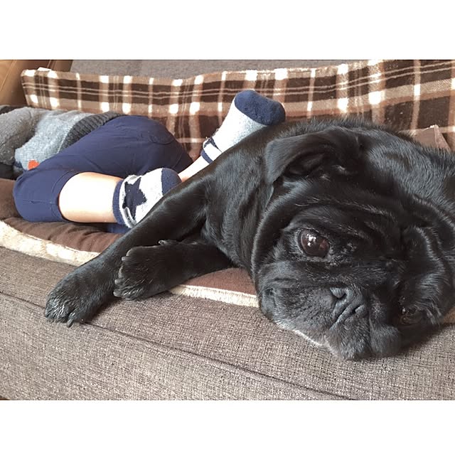 twoさんの実例写真