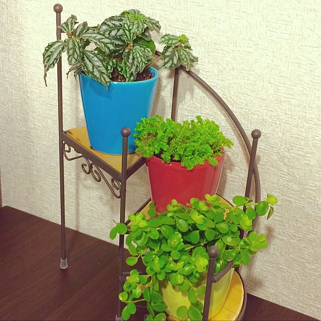 Renさんの実例写真
