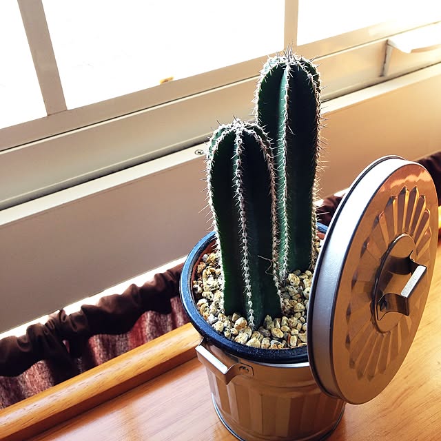 Satoさんの実例写真