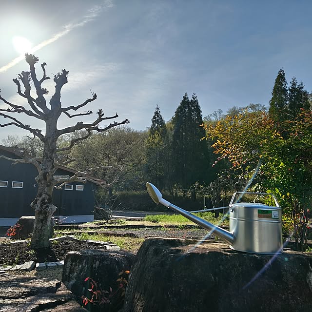 Rubiconさんの実例写真