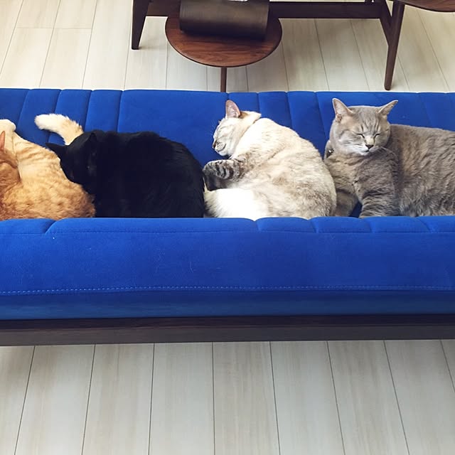 Leoさんの実例写真
