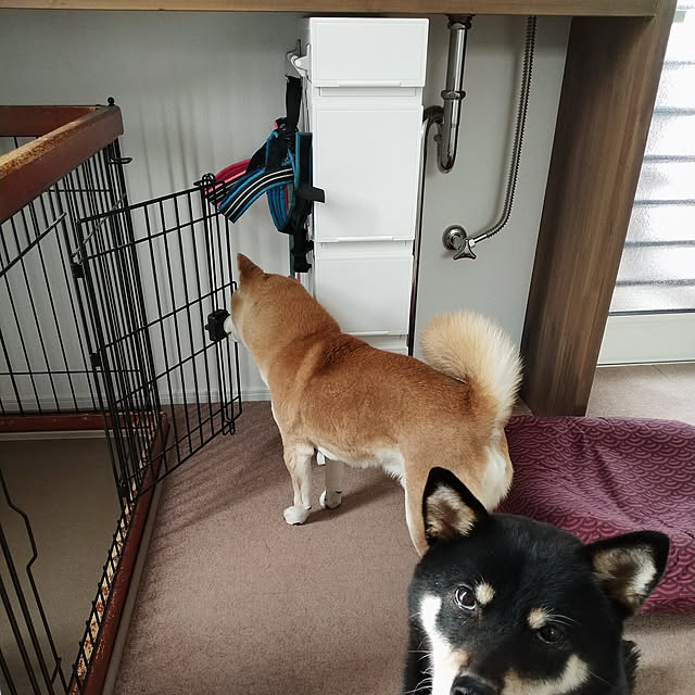 ponhanaさんの実例写真