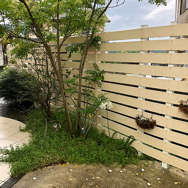 fuwalilyさんの部屋