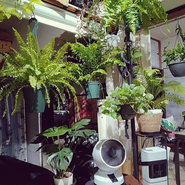 runaさんの部屋