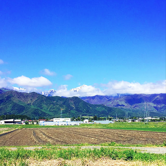 nanaさんの実例写真