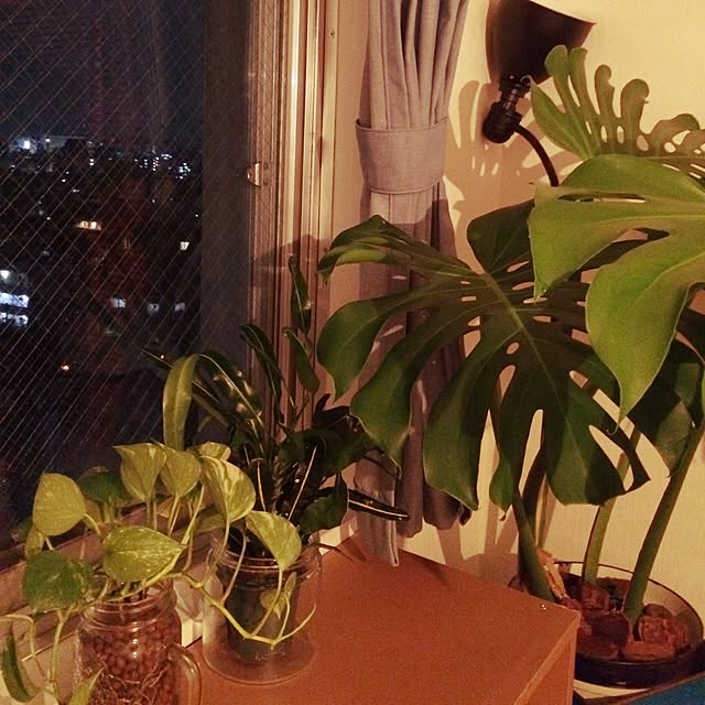 parupunte_mp20さんの実例写真