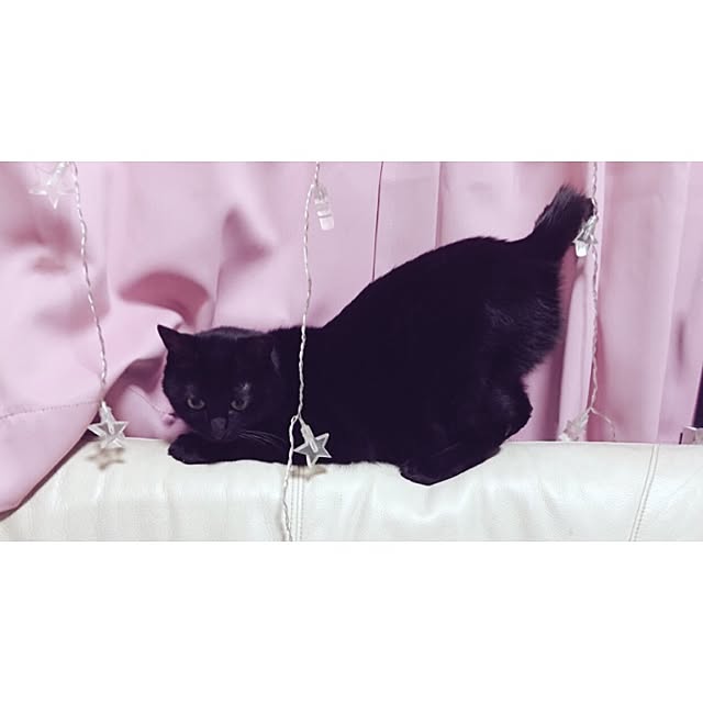Bi_27さんの実例写真