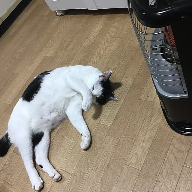 himawari123さんの実例写真