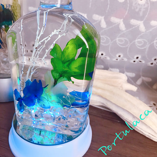 portulacaさんの実例写真