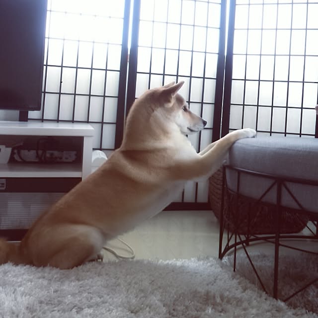 kさんの実例写真