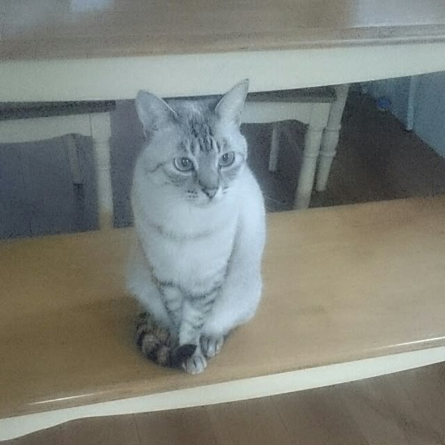 hoshiさんの実例写真