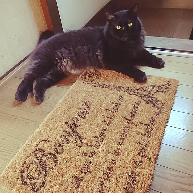 TAYAさんの実例写真