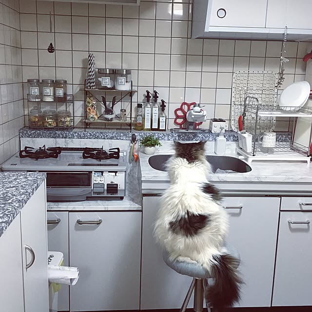 mikaさんの実例写真