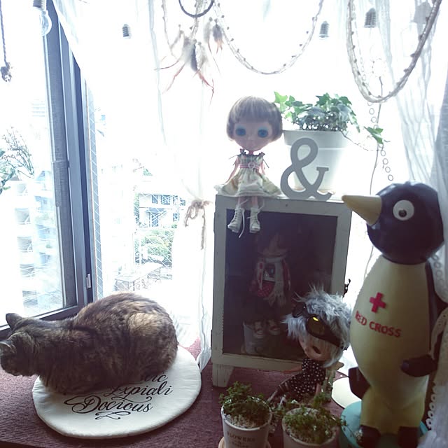picoさんの実例写真