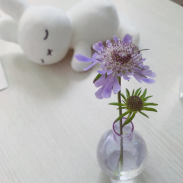usako.chanさんの実例写真