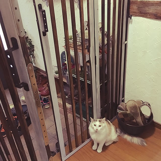 nakayoshinyankoさんの実例写真