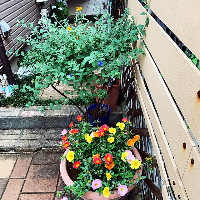 KYONさんの部屋