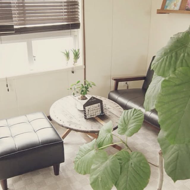 riqさんの実例写真
