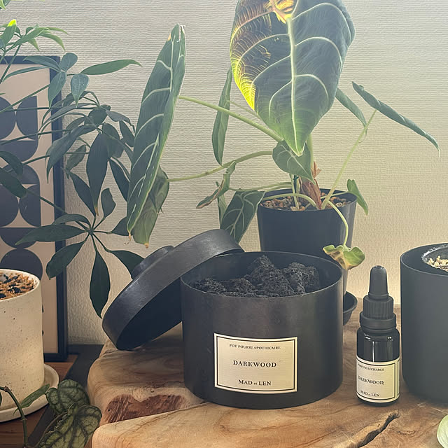 mumuさんの実例写真