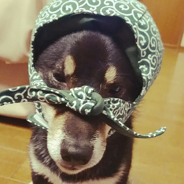 tsutawarimasuさんの実例写真