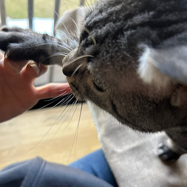 yumiさんの部屋