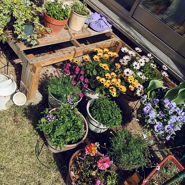 mofukoさんの実例写真