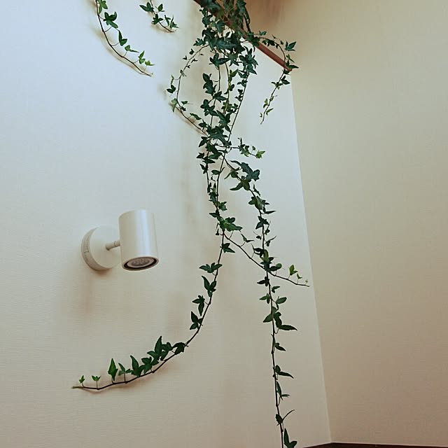 mak.さんの実例写真