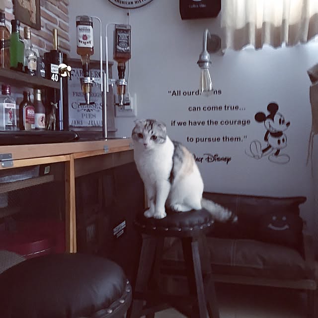 yokkochanさんの実例写真