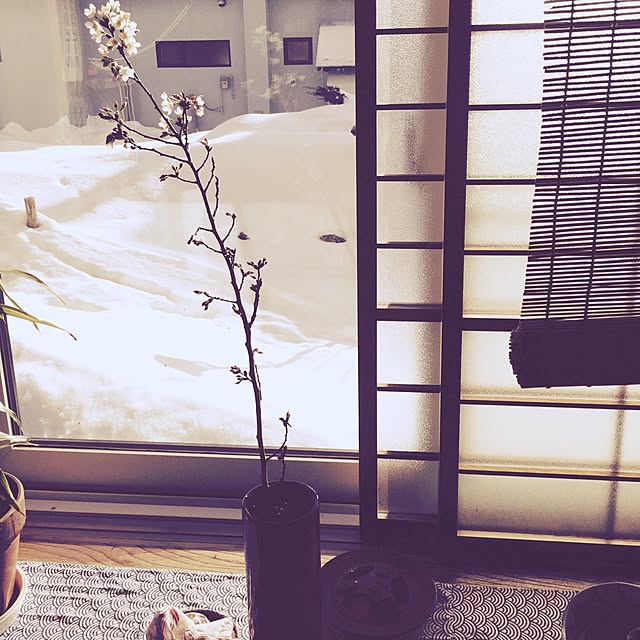 kari-kari-umeさんの実例写真