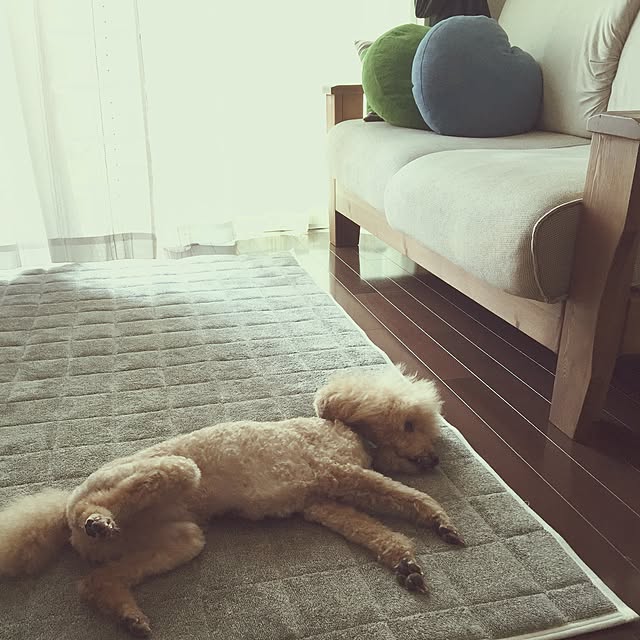 miruさんの実例写真