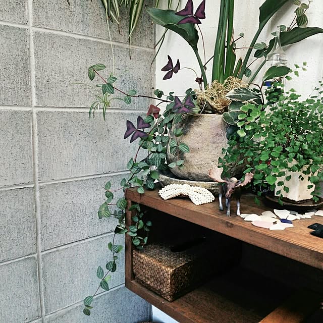 kaorinさんの実例写真