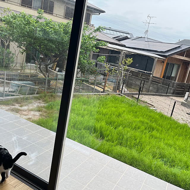 santar222さんの実例写真