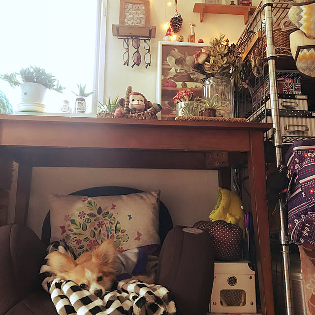 hemachan1215さんの実例写真
