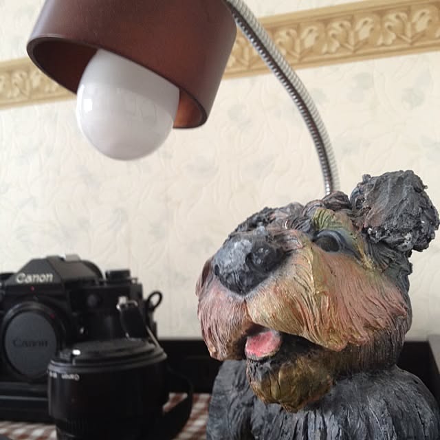 makiさんの実例写真
