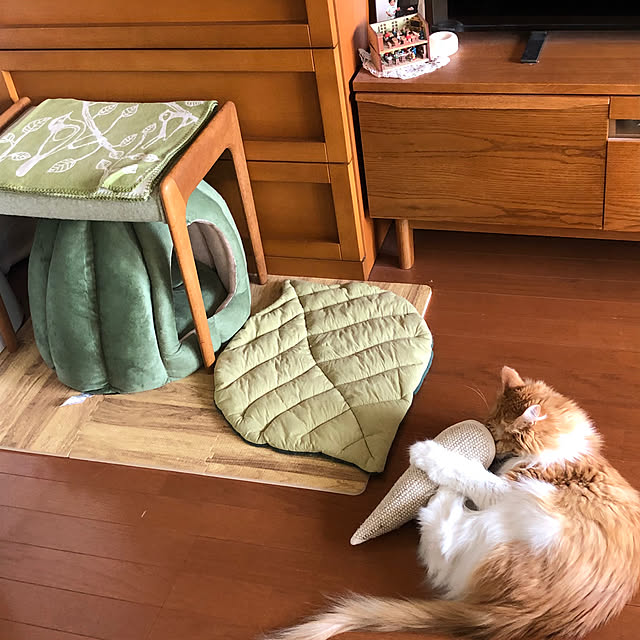 uchidaizuさんの部屋