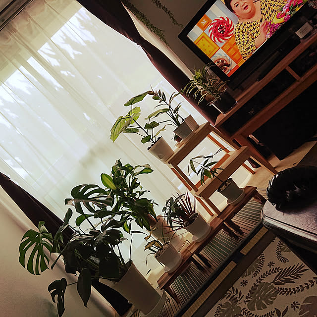 chiiikoさんの実例写真