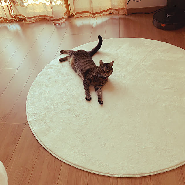 aruさんの実例写真