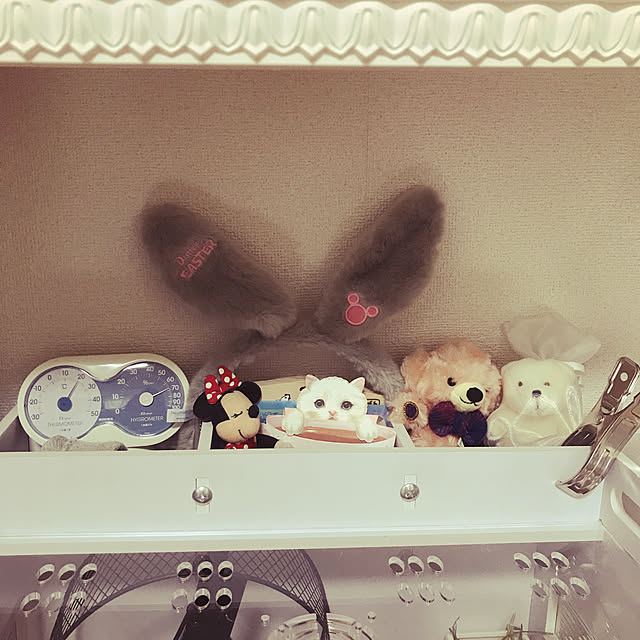 meshiさんの実例写真