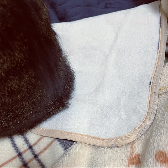 kittenblueさんの実例写真