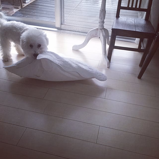 happy_bridgeさんの実例写真
