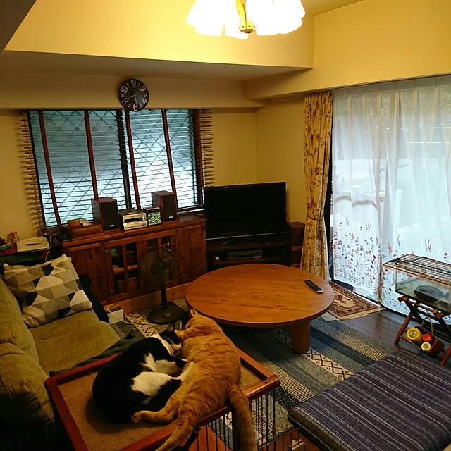 okyosan101さんの実例写真