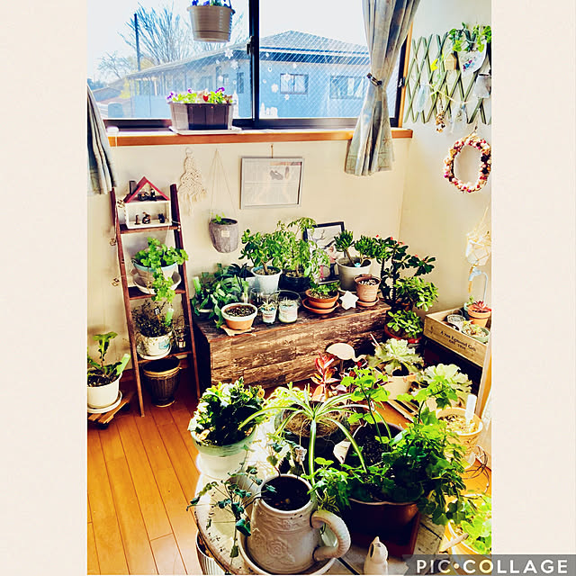 CoCo0617さんの実例写真