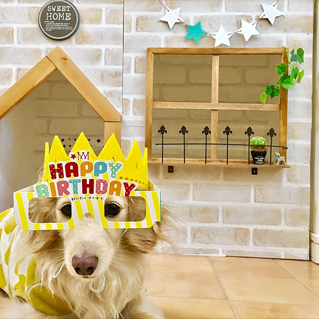 Erinさんの実例写真