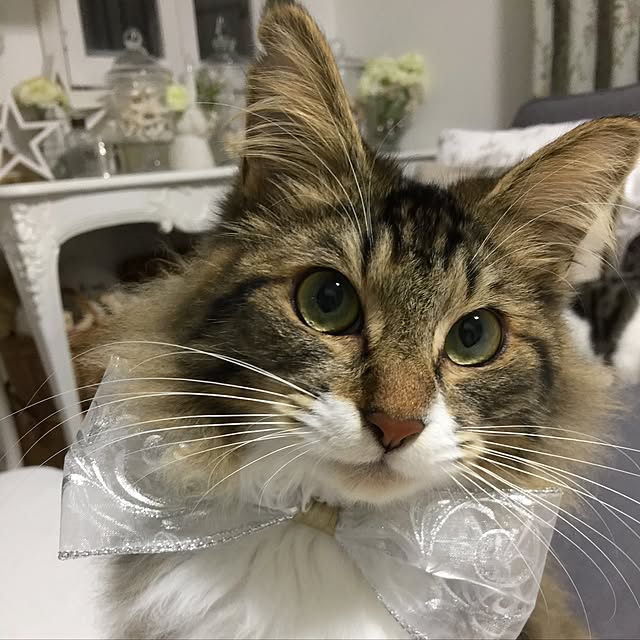 yuchiさんの実例写真