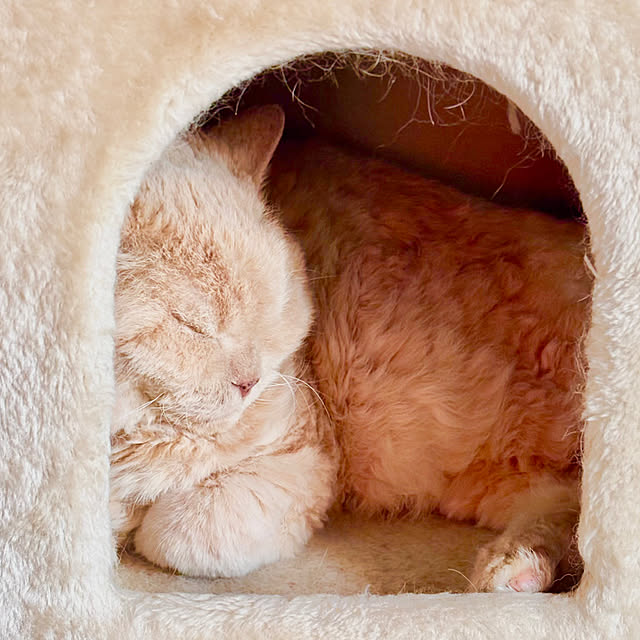 naokoさんの部屋