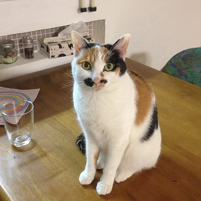 Kinanさんの実例写真