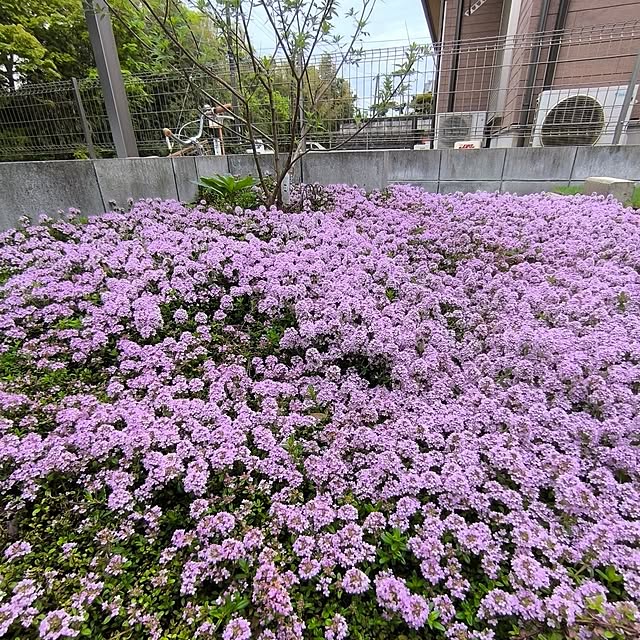 miharunさんの部屋