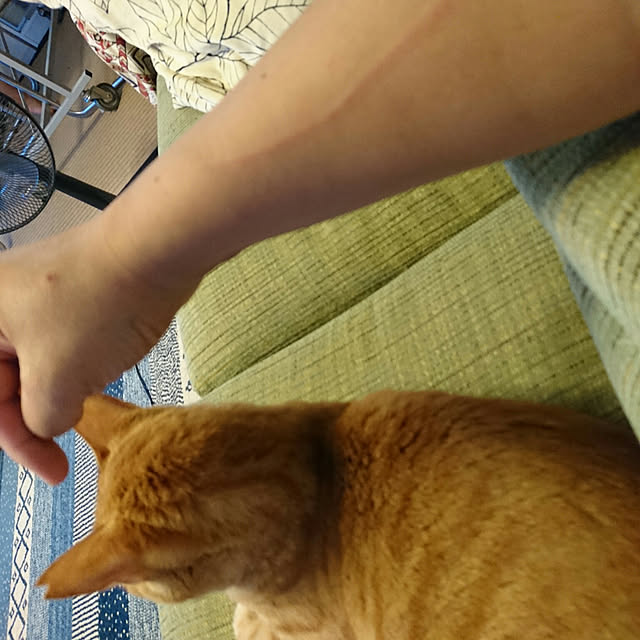 okyosan101さんの実例写真