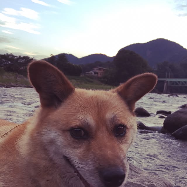 実例写真